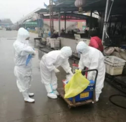 開(kāi)封宏進(jìn)農(nóng)副產(chǎn)品國(guó)際物流中心 穩(wěn)市場(chǎng) 促民生 保供應(yīng)