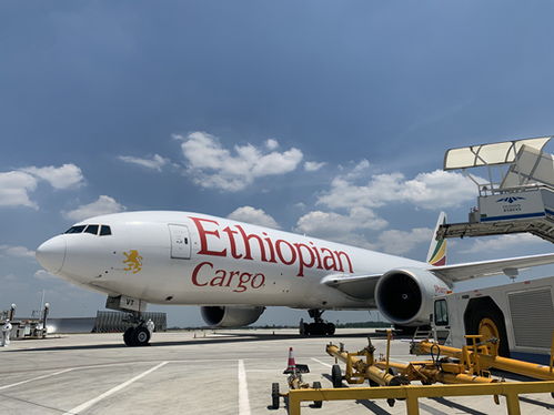 湖南開通首條直飛非洲貨運航線 長沙至亞的斯亞貝巴首航