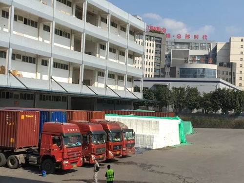 力天國際物流給您拜年啦 感謝社會各界領導 客戶及朋友們的厚愛與支持,堅持物流產品經營理念繼續前行